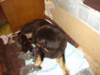 /album/stenatka/dsc02303-jpg/