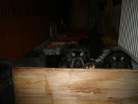 /album/stenatka/dsc02535-jpg/