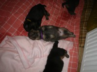 /album/stenatka/dsc02428-jpg/