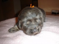 /album/anny/a29-1-2011-jpg3/