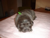 /album/ason/a29-1-2011-jpg7/