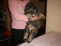 /album/aron/aron-jpg/