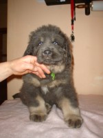 /album/ason/ason-jpg/