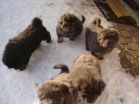 /album/stenatka/dsc02631-jpg/