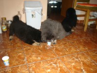 /album/stenatka/dsc02637-jpg/