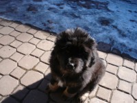 /album/anabel/anabelka-jpg/