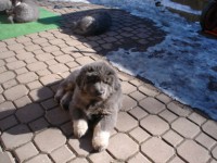 /album/anny/annynka-jpg/